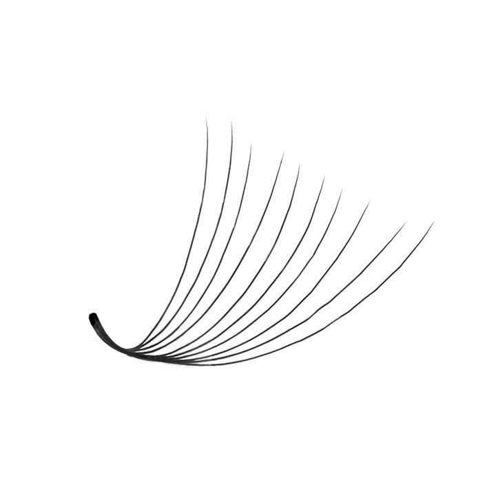 LavisLash Promade Loose 10D C CC D Curl 500 Fans All Length 8mm-16mm