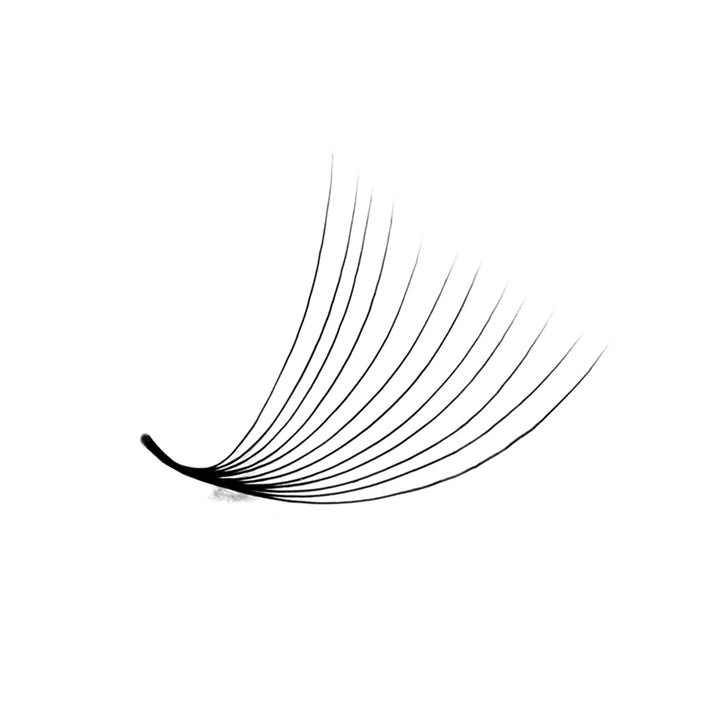 LavisLash Promade Loose 12D C CC D Curl 500 Fans All Length 8mm-16mm