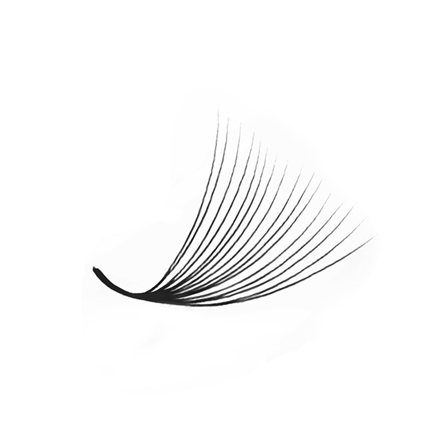 LavisLash Promade Loose 16D C CC D Curl 500 Fans All Length 8mm-16mm