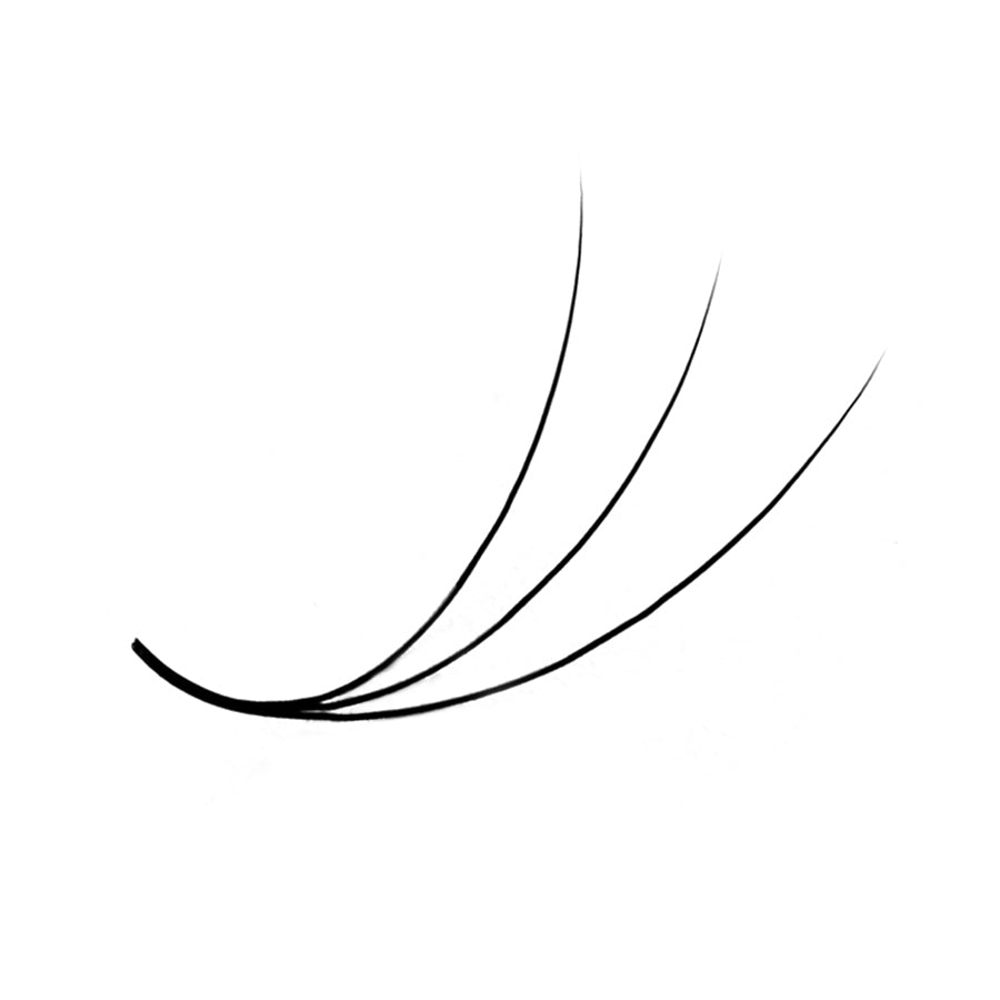 LavisLash Promade Loose 3D C CC D Curl 500 Fans All Length 8mm-16mm