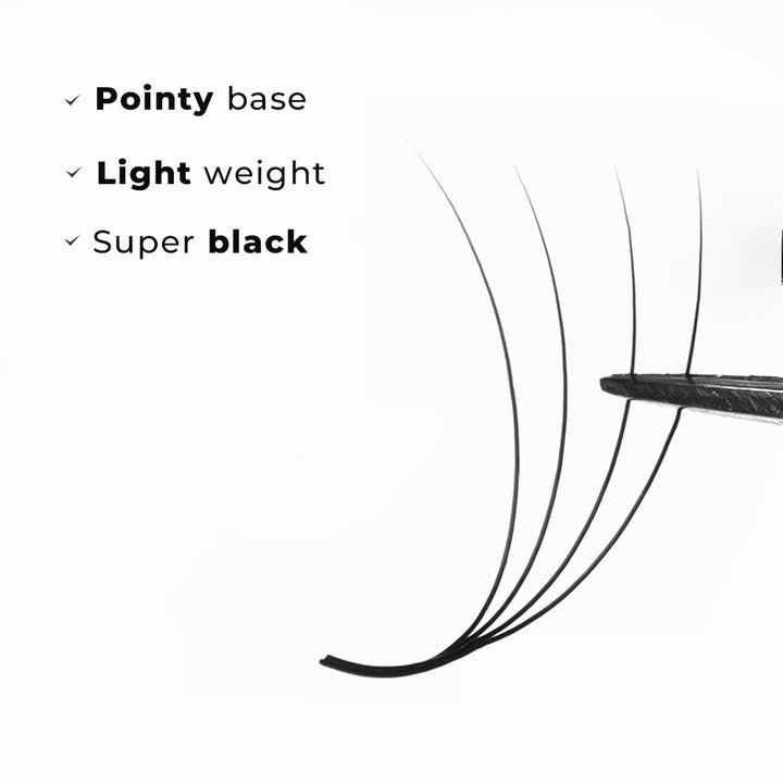 LavisLash Promade Loose Fans 4D C CC D Curl 500 Fans All Length 8mm-16mm