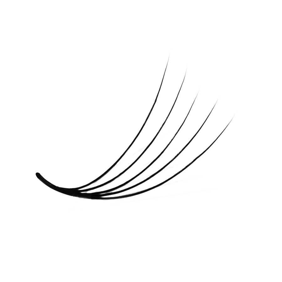 LavisLash Promade Loose Fans 5D C CC D Curl 500 Fans All Length 8mm-16mm