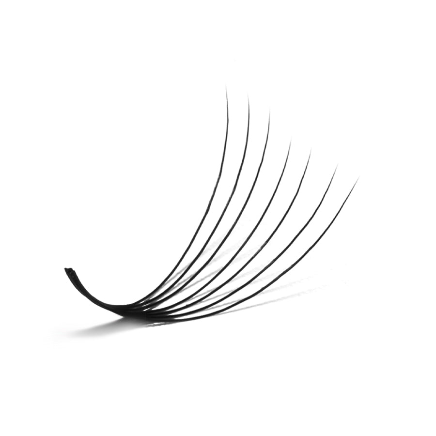 LavisLash Promade Loose Fans 7D 500 Fan per box C, CC and D curl 0.05 0.07mm all size