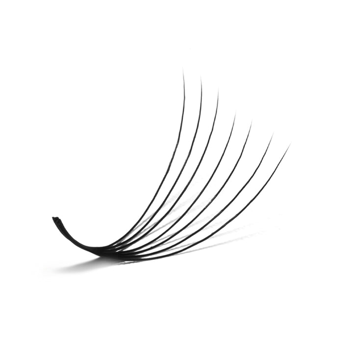 LavisLash Promade Loose Fans 7D 500 Fan per box C, CC and D curl 0.05 0.07mm all size