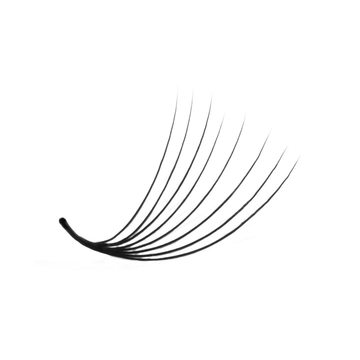 LavisLash Promade fans Loose 8D 500 Fans 0.05 0.07 C CC D curl 9mm-16mm