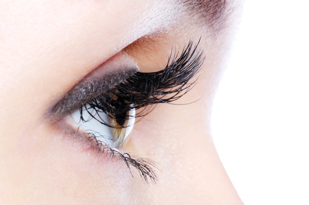 Profile view of a human eye with a long curl false eyelashes. recommends about beginner prices from LavisLash US