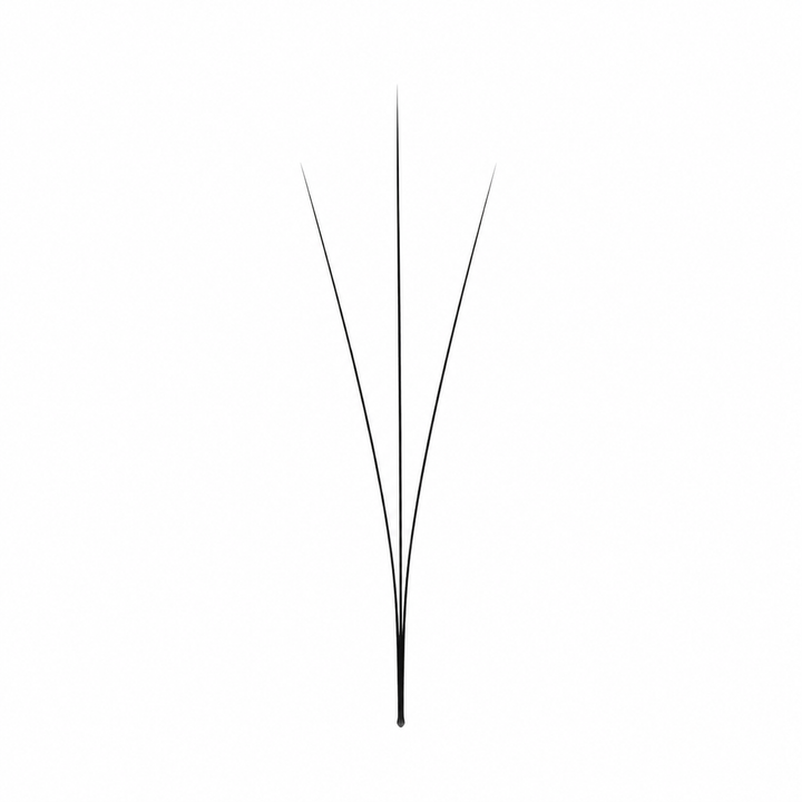 LavisLash Camellia 3D Lashes – 0.07mm Soft And Natural Textured Lash Extensions, 8–14mm