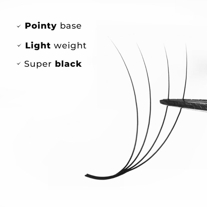 LavisLash Promade Loose Fans 4D C CC D Curl 1000 Fans All Length 8mm-16mm