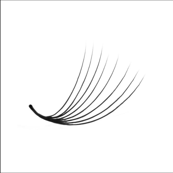 LavisLash Promade fans Loose 8D 1000 Fans 0.05 0.07 C CC D curl 9mm-16mm