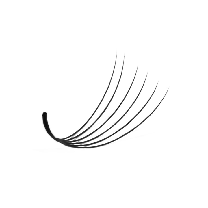 LavisLash Promade Loose 6D 1000 Fans C CC D Curl Size 8-16mm
