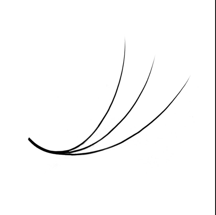 LavisLash Promade Loose 3D C CC D Curl 1000 Fans All Length 8mm-16mm