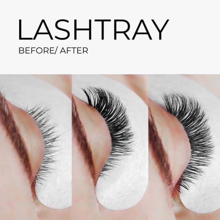 LAVISLASH Single Length Lash Tray | C CC D | 8-16mm | Easy Fan Natural Eyelash Extensions Mink Lashes Fluffy Eyelash Cluster