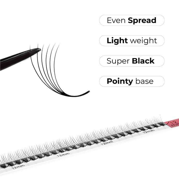 LAVISLASH 7D Narrow Medium Trays Single Length | 450 FANS | C CC D Curl | Promade Natural Fans Eyelashes Extensions 0.07 Thickness of Mink Lashes.